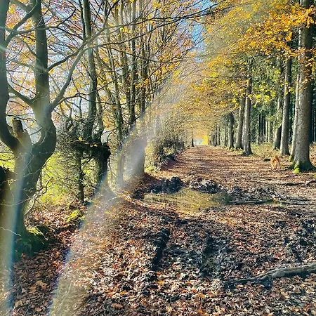 Maison Lokako Dom wakacyjny Waimes