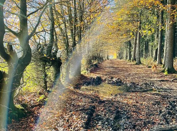 Maison Lokako Vakantiehuis Weismes