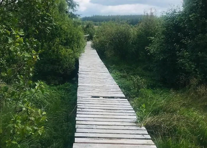 Maison Lokako Hébergement de vacances Waimes